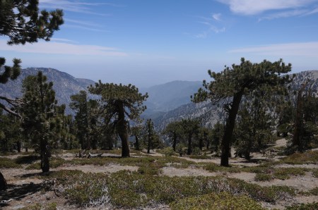 Mount Baldy Hike