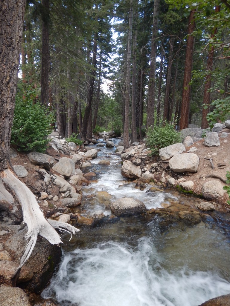 Lone Pine Brook