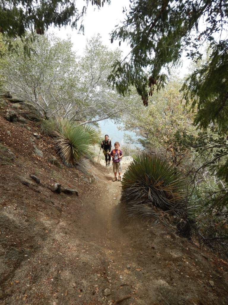 Down the hill we go...