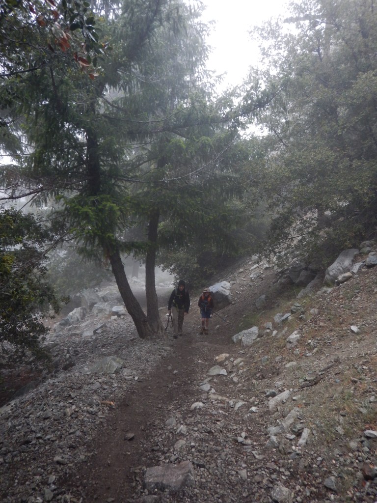 Keep going..onwards and upwards..