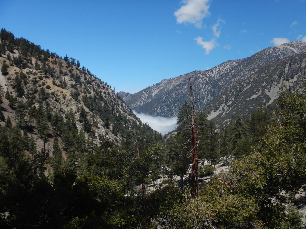 Looking back down the valley..