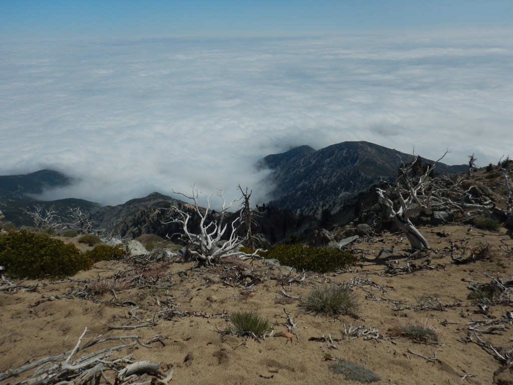 Clouds lapping at the lower hills like a white ocean..