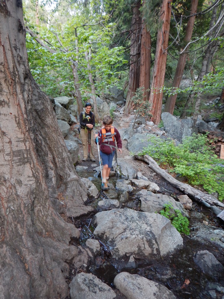 Across the stream we go...