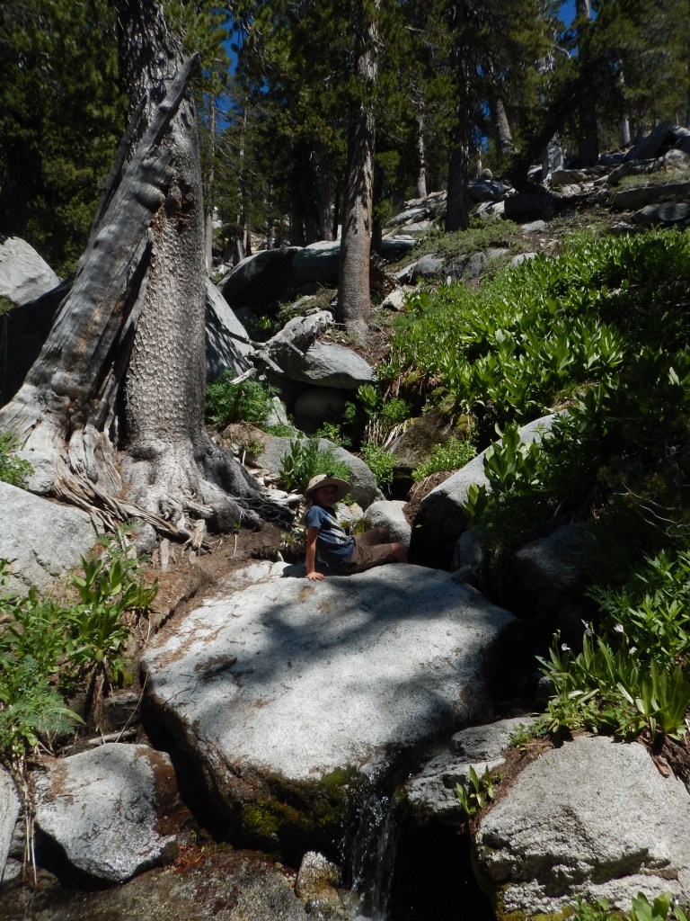 Mount Jacinto..looking up the creek..without a paddle
